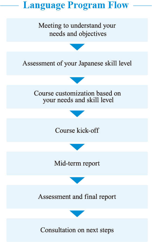 Language Program Flow