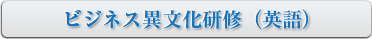 ビジネス異文化研修（英語）